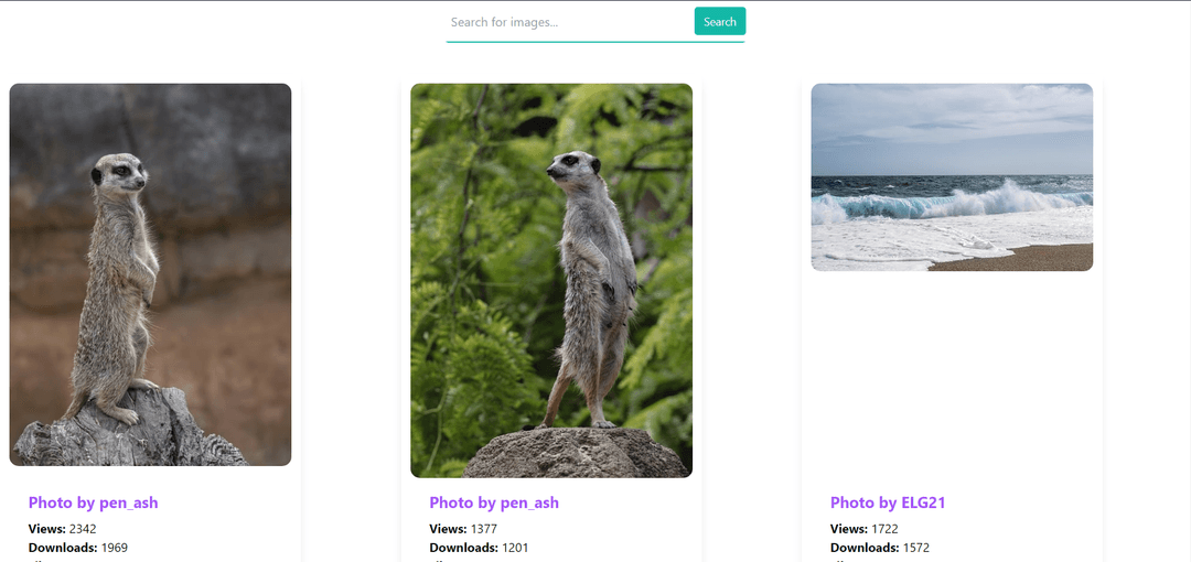 project-image